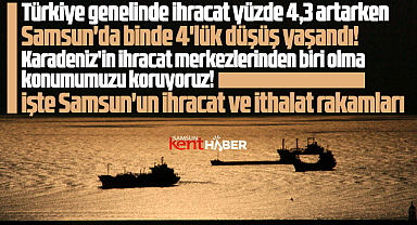 Samsun ihracatında binde 4'lük düşüş oldu! İşte son ihracat-ithalat rakamları