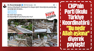 Samsun'un Alaçam ilçe mezarlığındaki ağaç temizliğine CHP'li isimden tepki!