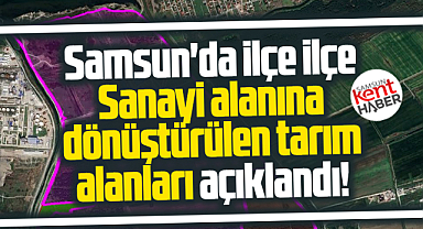 Samsun'da sanayi alanına dönüştürülen tarım alanlarının işte hektarı 