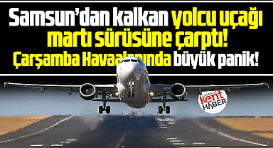 Samsun'dan İzmir'e havalanan SunExpress uçağı martı sürüsüne çarptı!