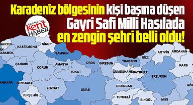 Samsun, Gayri Safi Milli Hasılada, Karadeniz bölgesinin en zengin şehri
