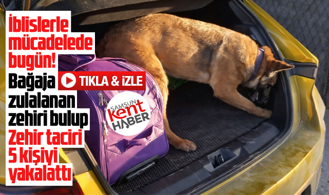 Samsun'da narkotik köpeği Pera bağaja zulalanan uluşturucuları buldu