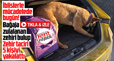Samsun'da narkotik köpeği Pera bağaja zulalanan uluşturucuları buldu