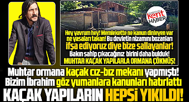 Samsun'da muhtarın orman içine yaptığı kaçak yapılar yıkıldı