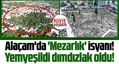 Samsun'un Alaçam ilçesinde 'Mezarlık' isyanı! Yemyeşildi dımdızlak oldu!