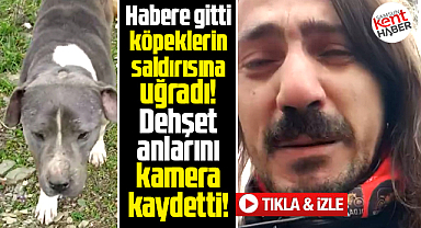 Samsun'da habere giden İbrahim Akkuş, köpeklerin saldırısına uğradı