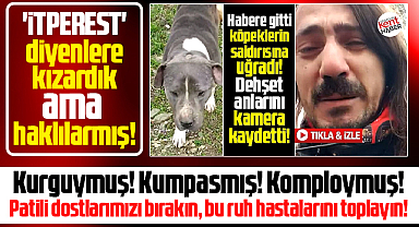 Samsun'da muhabirin başına gelenler ve sözde hayvansever sadistlere cevap!
