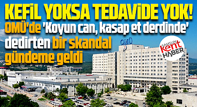 Samsun'da sağlıkta skandal! Kefil yoksa tedavide yok!