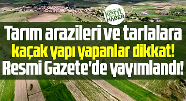 Samsun'da tarım arazileri ve tarlalara kaçak yapı yapanlar dikkat!
