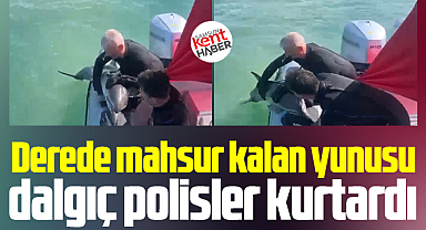 Samsun'da Kürtün deresinde mahsur kalan yunusu dalgıç polisler kurtardı