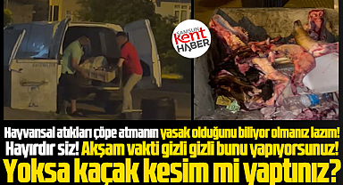 Samsun'da iki kişi kesilmiş hayvansal atıkları çöpe atarken görüntülendi