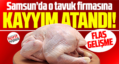 Samsun'da son dakika! Ay-Pi Tavukçuluk'a kayyım atandı!