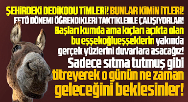 Samsun'daki bu dedikodu timleri, kimin ve kimlerin itleri!