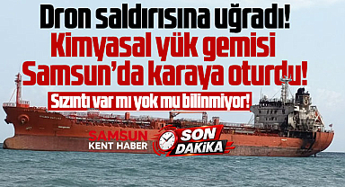 Samsun Alaçam'da kimyasal yük gemisi Golden Saplıng karaya oturdu