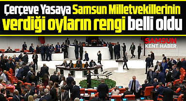 Samsun milletvekillerinin Çerçeve Yasaya ne oy verdikleri belli oldu