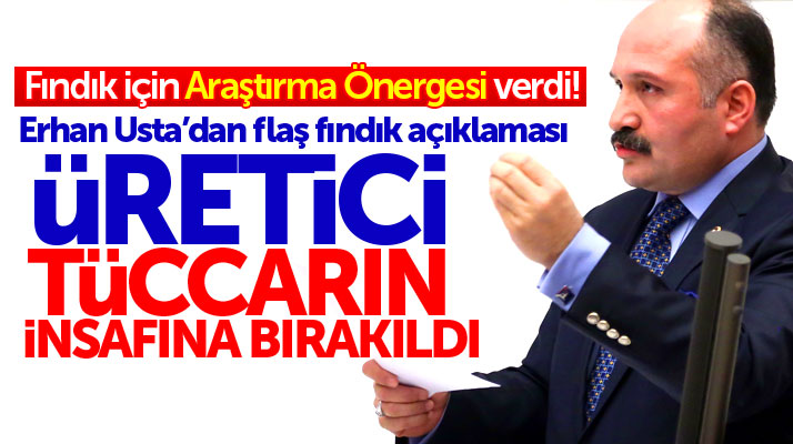 MHP Grup Başkanvekili Erhan Usta, fındık için Araştırma Önergesi verdi