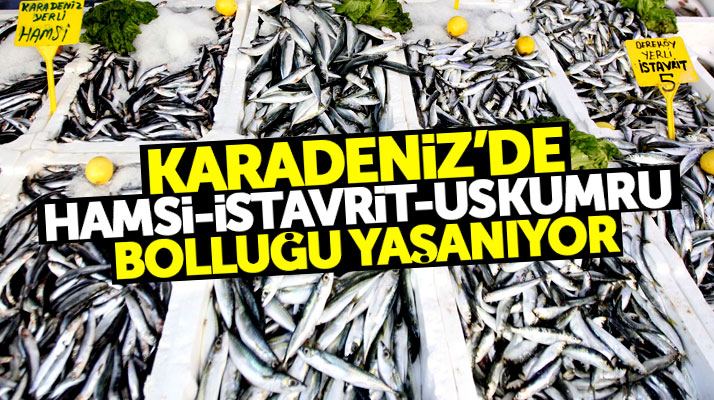Samsun'da balık tezgahlarında hamsi, istavrit, uskumru bolluğu yaşanıyor