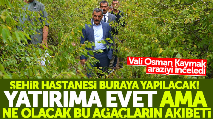 Samsun'da Şehir Hastanesi 400 dönümlük orman arazisi üzerine yapılacak