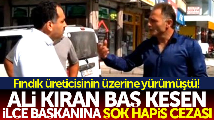 Samsun'da fındık üreticisinin üzerine yürüyen ilçe başkanına şok hapis cezası