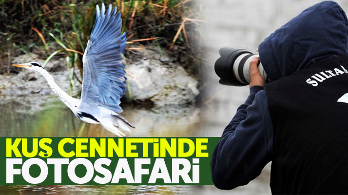 Samsun Kızılırmak Deltası Kuş Cennetinde Fotosafari
