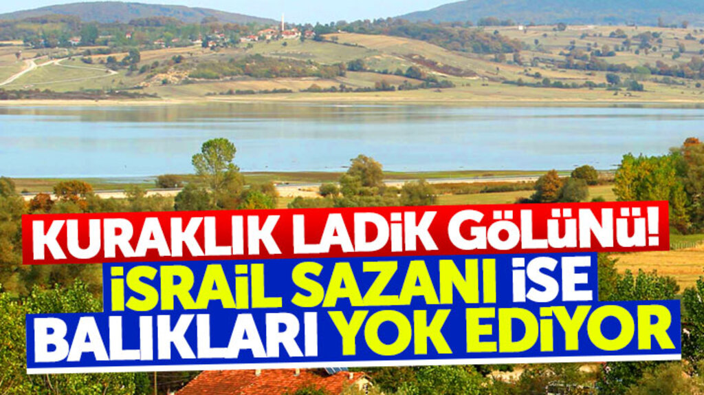 Samsun'da Ladik Gölü'nü kuraklık, göldeki balık türlerini ise İsrail Sazanı yok ediyor