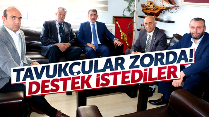 Samsun'da tavuk üreticileri milletvekili Fuat Köktaş'tan destek istedi