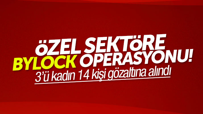 Samsun'da özel sektöre ByLock operasyonu: 3'ü kadın 14 kişi gözaltına alındı