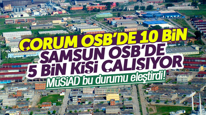 Samsun MÜSİAD Başkanı Haluk Tan'dan Organize Sanayi Bölgesi eleştirisi
