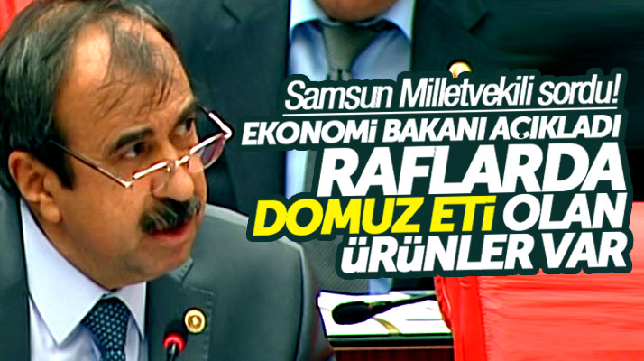 CHP Samsun Milletvekil Hayati Tekin'den Bakan Zeybekçi'ye domuz eti sorusu