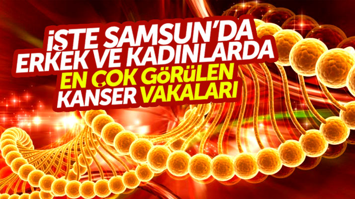 Samsun'da akciğer ve mide kanserine yakalanma oranları açıklandı