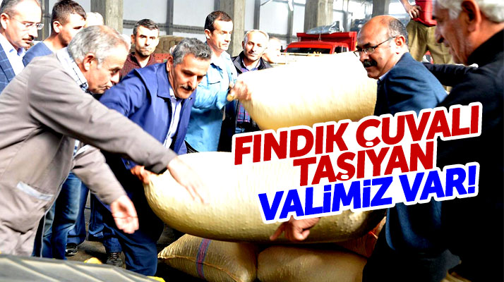 Samsun Valisi Osman Kaymak Çarşamba'da fındık çuvalı taşıdı