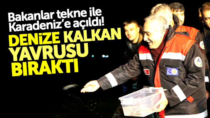 Samsun'a gelen Bakanlar Fakıbaba ve Demircan Karadeniz'e 500 yavru kalkan bıraktı