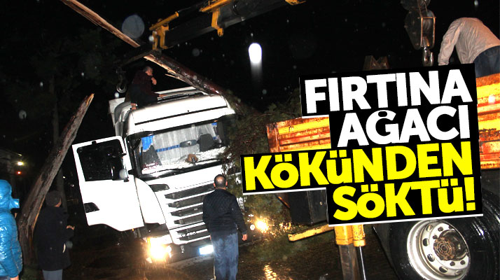 Samsun Çarşamba'da şiddetli rüzgarın kökünden söktüğü ağaç tırın üzerine yıkıldı