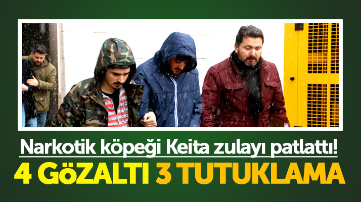 Samsun'da narkotik köpeği Keita zulayı patlattı! 4 gözaltı 3 tutuklama!