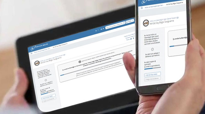 E-Devlet Alt-Üst Soy Bilgisi Sorgulaması hizmete girdi, site çöktü