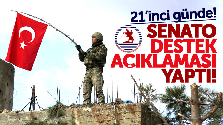 Samsun OMÜ Senatosundan Zeytin Dalı Harekatına destek açıklaması