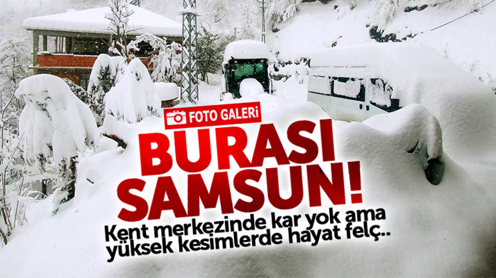 Samsun'da Salıpazarı ilçesi Güzelvatan mahallesi kar yağışı ile beyaza büründü