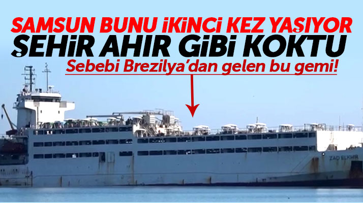 Samsun'u ahır kokusu gibi saran pis kokunun sebebi belli oldu