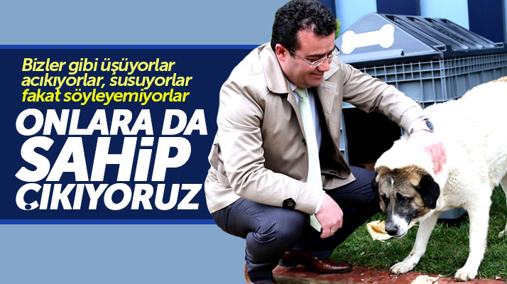Atakum Belediyesi Başkanı İshak Taşçı: Sokak hayvanlarına sahip çıkıyoruz