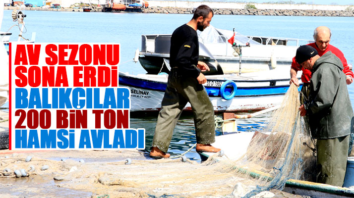 Samsun'da balıkçılar av sezonunda 200 bin ton hamsi avladı ama sezon verimli geçmedi