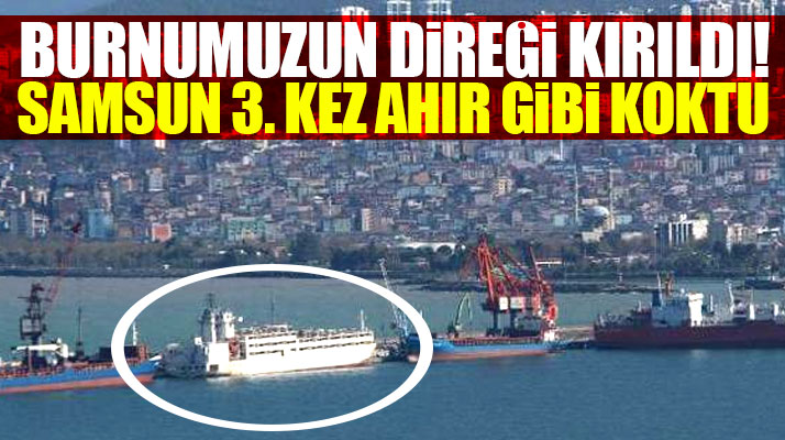 Samsun'a Brezilya'dan gelen sığır yüklü gemi şehri pis koku ile kapladı