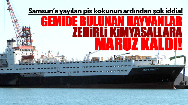 Samsun'a Brezilya'dan gelen gemide bulunan sığırlar kimyasal atıklara mı maruz kaldı