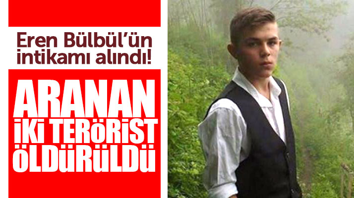 Eren Bülbül ve astsubay Ferhat Gedik'i şehit eden iki terörist öldürüldü