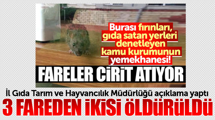 Samsun İl Gıda Tarım ve Hayvancılık Müdürlüğünden fare açıklaması!