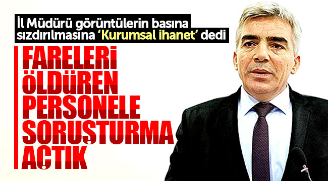 Samsun İl Gıda Tarım ve Hayvancılık Müdürlüğünde fareleri öldüren personele soruşturma