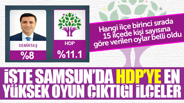 Samsun'da hangi ilçede kaç kişi HDP'ye oy verdi