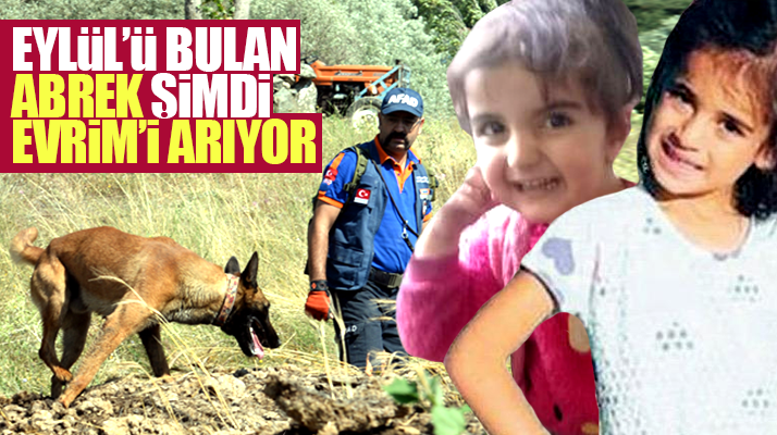 Samsun AFAD'ın eğitimli köpeği Abrek şimdi de Tokat'ta kaybolan Evrim'i arıyor
