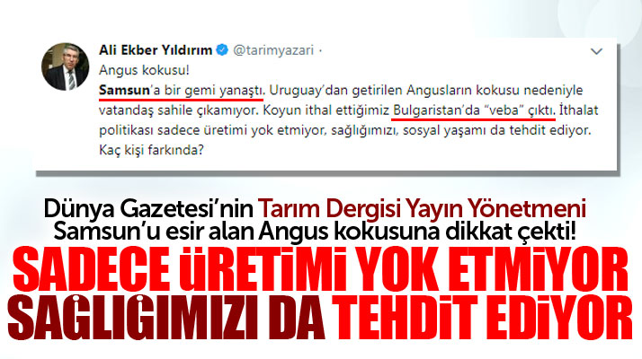 Samsun'a getirilen 20 bin Angus ile ilgili yayın yönetmeninden ciddi uyarı!