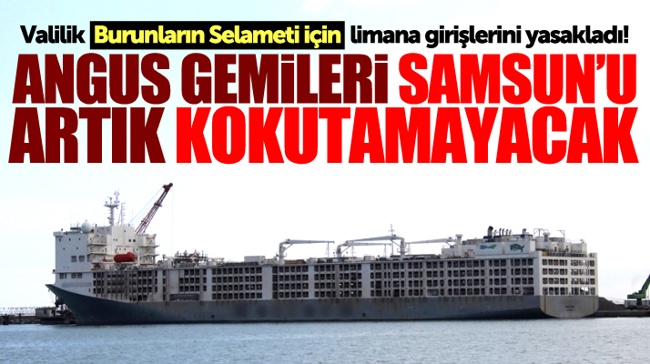 Samsun Valiliği şehri kokutan Angus gemilerinin limana girişlerini yasakladı