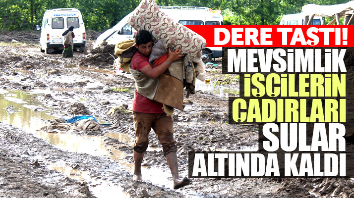 Samsun Çarşamba'da Çayvar Deresi taştı! Mevsimlik işçilerin çadırlarını su bastı